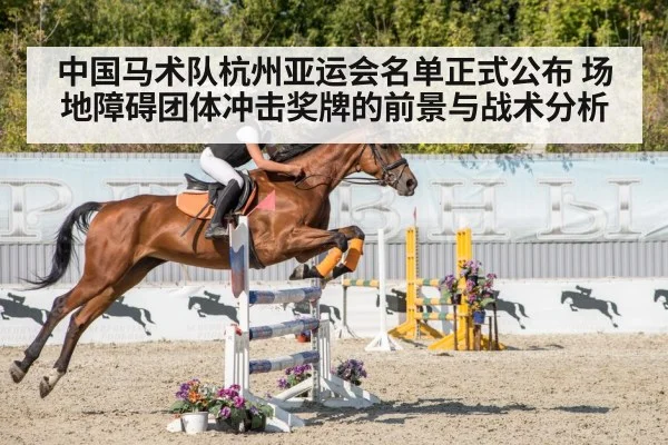 show jumping competition